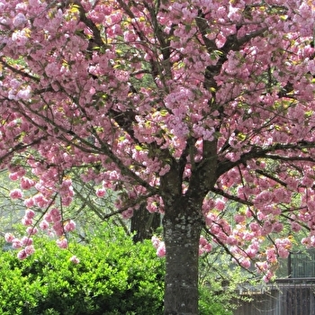 Aire de pique-nique Place des Salines  - SALINS-LES-BAINS