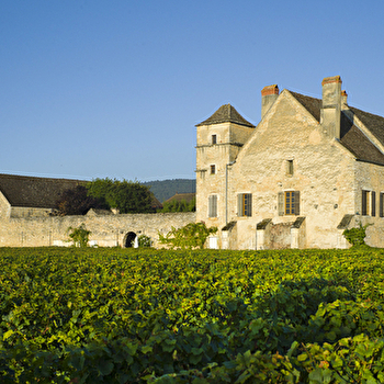 Château de la Velle - MEURSAULT