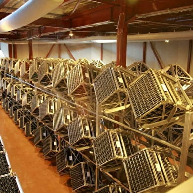 Veuve Ambal - Dégustation et visite du site de production, Vente des Vins 2025