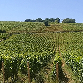 Les Vini Balades - FUISSE