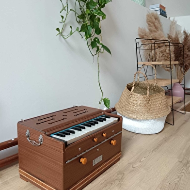 La chouette d'or - Yoga et massages