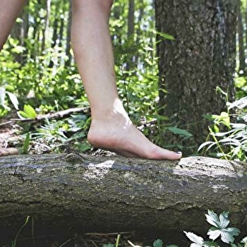 Echappée Morvan d'Ailes - Rando pieds nus - LA COMELLE