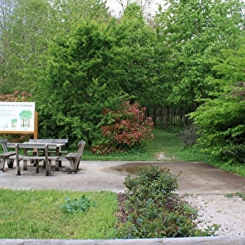 Aire de pique-nique de Prémeaux-Prissey 2 - PREMEAUX-PRISSEY