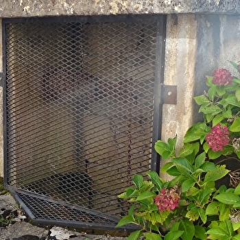 Puits n° 1 - SAINT-MARTIN-BELLE-ROCHE