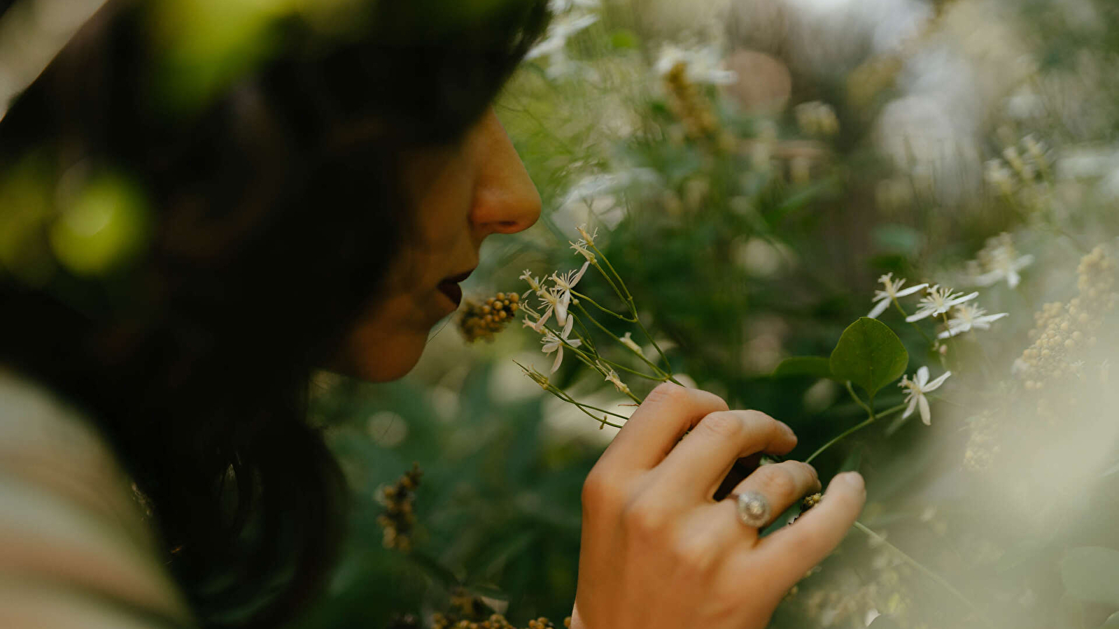 La bulle à parfums & jardin parfumé