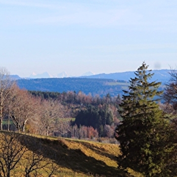 Village Haut - BONNETAGE