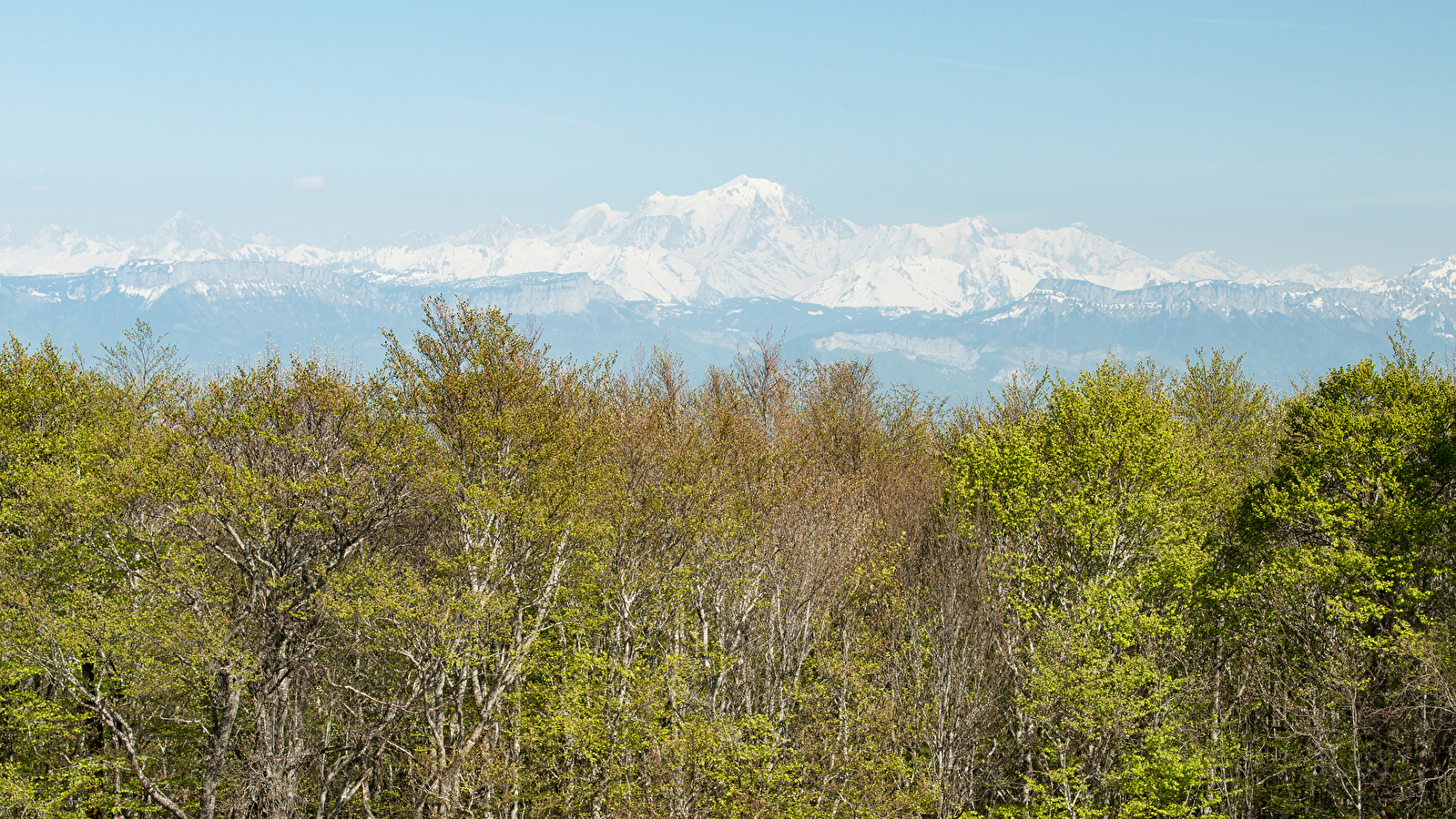 Parcours VTT rouge N°40 - Boucle de Sur-Lyand - Espace FFC Ain Forestière