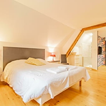 Papillon - LA CHAPELLE-SAINT-SAUVEUR