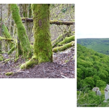 Le Pic Cendré - VAL-SUZON