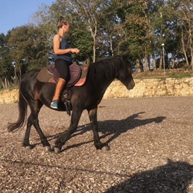 Les Chevaux de Beltane
