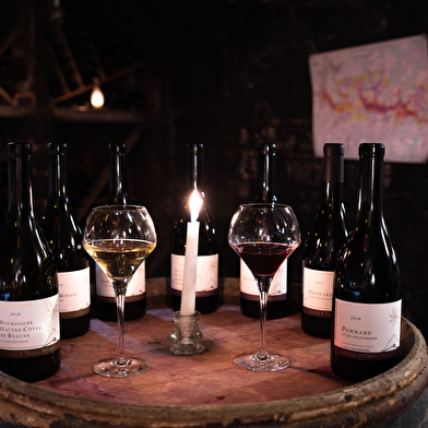 Dégustation - vente au Domaine Lucien et Fanny Rocault