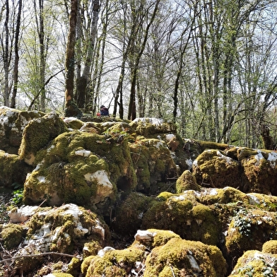 Sentier karstique du grand bois et grotte Maëva