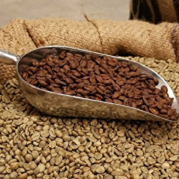 Cafés Nollet - LA CLAYETTE