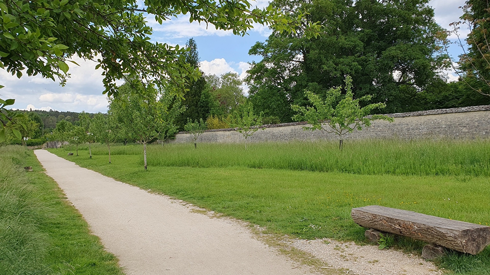 Verger conservatoire et Aire Terrestre Educative d'Is-sur-Tille