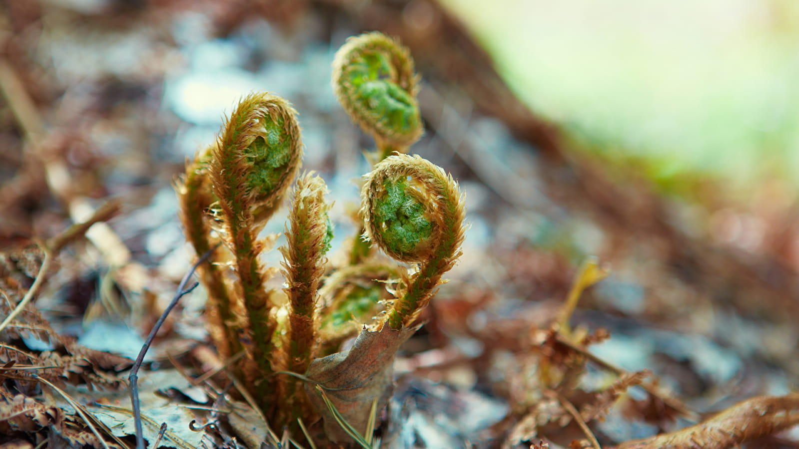 Sortie « spéciale » photographie nature 