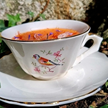 La Reine des Prés - LONS-LE-SAUNIER