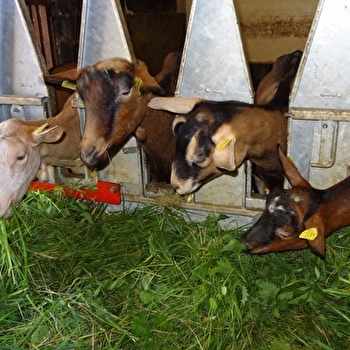 Aire de services pour camping-cars à la Ferme du Port Aubry - COSNE-COURS-SUR-LOIRE