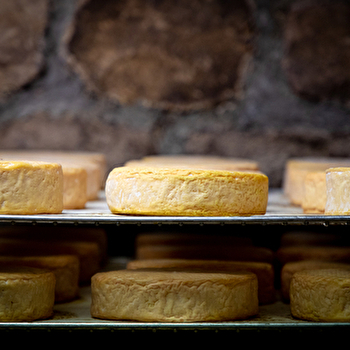 GAEC Menigoz - SAINT-BRESSON