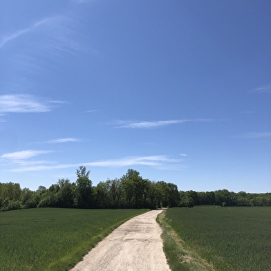 VTT autour de Divonne par la frontière Vaudoise