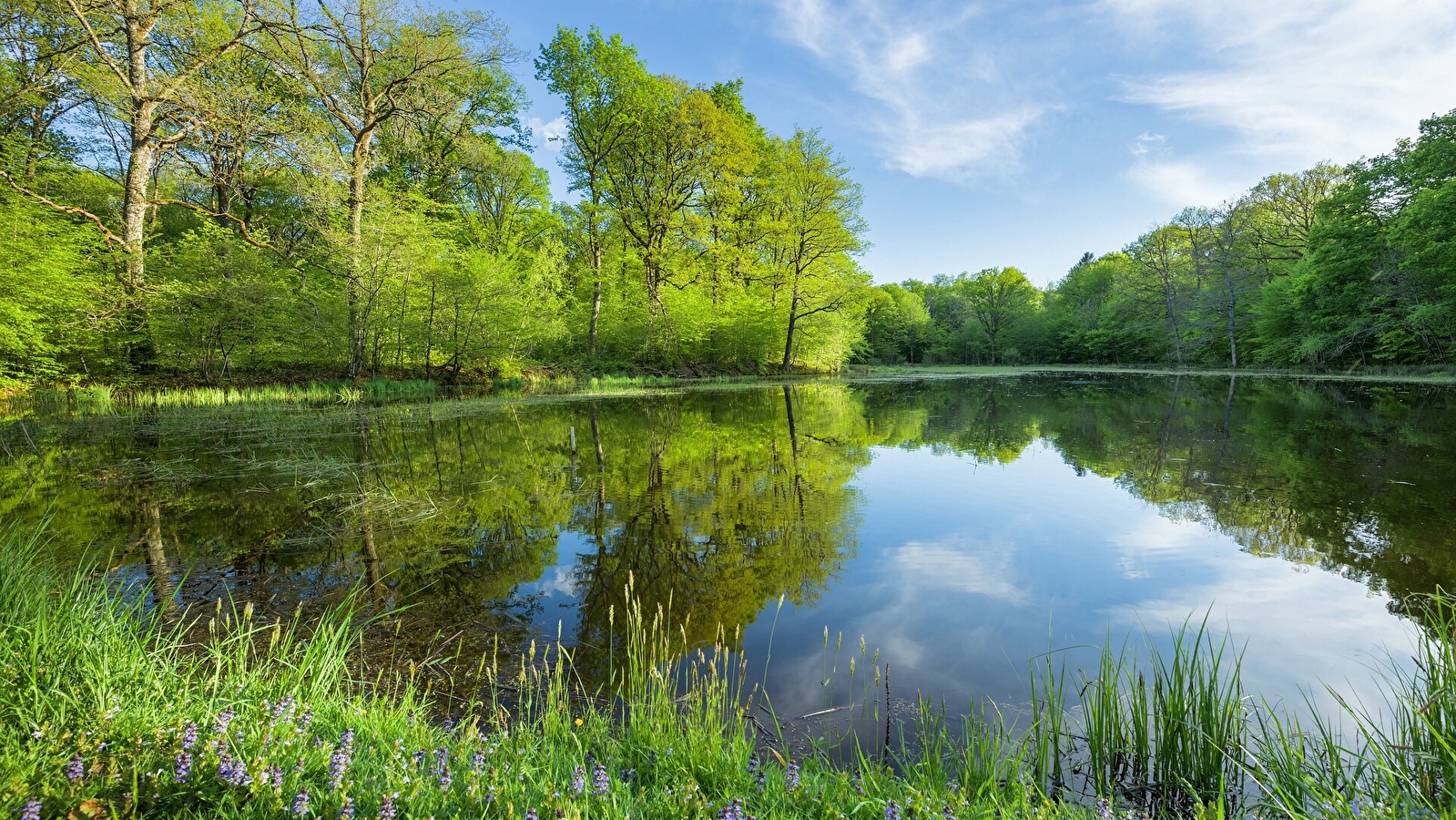 L'ancienne Abbaye - 60B