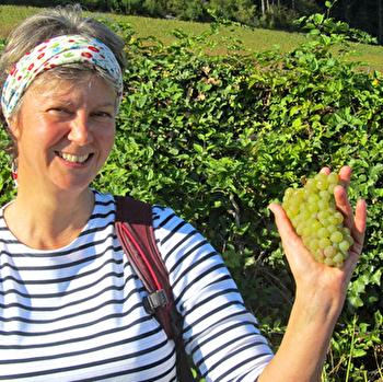 Visite guidée du vignoble de la Côte de Beaune - BEAUNE
