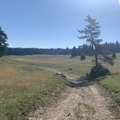 Randonnée - Sur Echallon par le monument du Maquis
