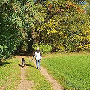 Circuit randonnée : Boucle des Corneillons - OZAN