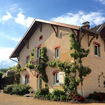 Les Thinons - BERZE-LE-CHATEL