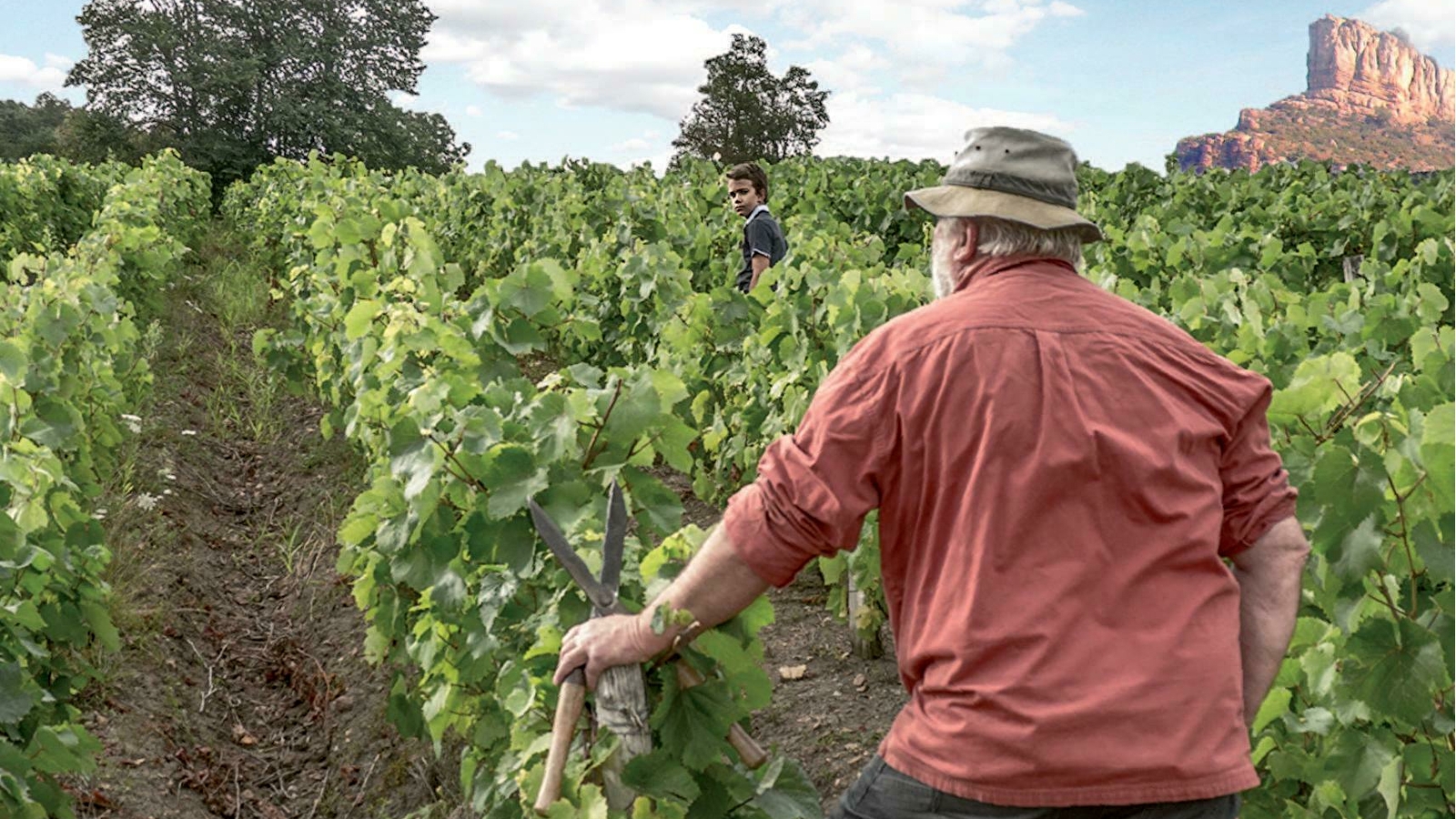 Les Arbillons Vignoble