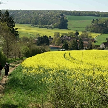 Circuit de Dixmont n°3 : Le Circuit des Puits - DIXMONT