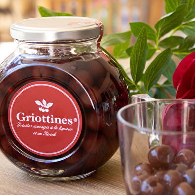 Belfort - Fougerolles : le pays des 1000 étangs