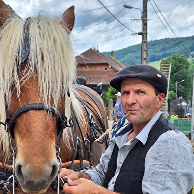 Balade en Calèche - Mors Attelage