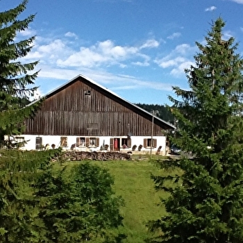 Les Sapins - LES GRAS