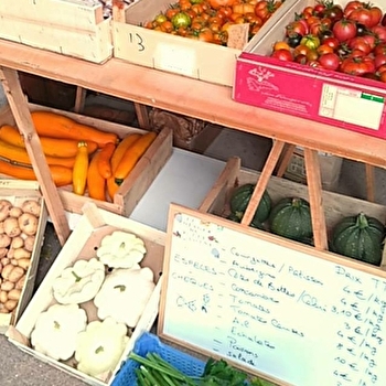 Le Potager du P'tit Toine - EVETTE-SALBERT