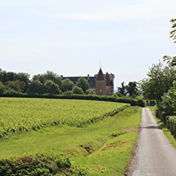 Balmont Haut - CHAINTRE