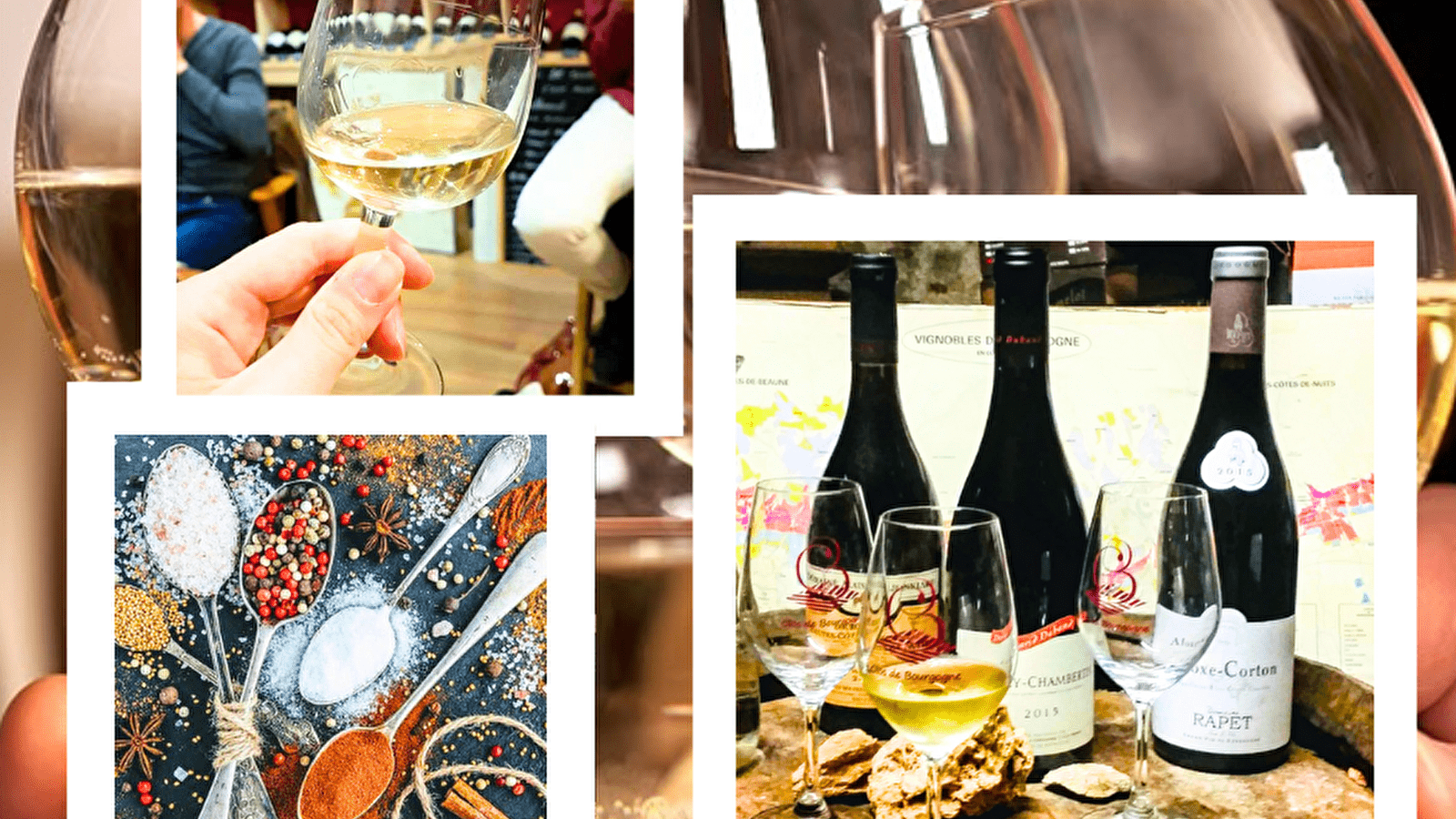 Cours de dégustation et d'oenologie en Côte de Nuits