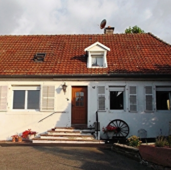 L'iris - ROMAGNY-SOUS-ROUGEMONT