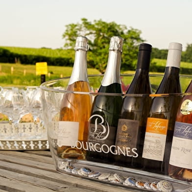 Visite guidée du Domaine Joseph Lafarge