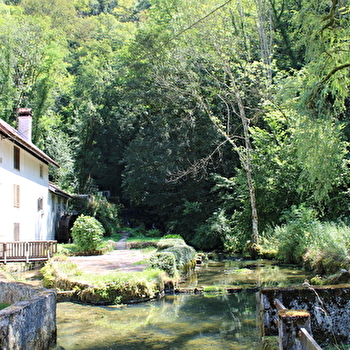 Moulin de la Doue - ABBEVILLERS