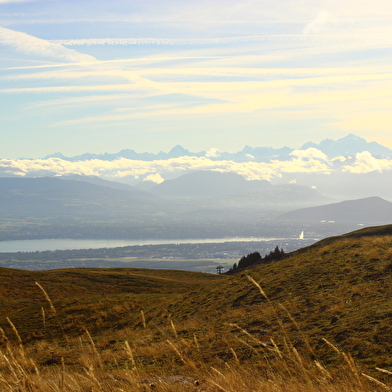 Parcours VTTAE 86 - rouge - La Panoramique - Espace VTT FFC Ain Forestière