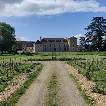 Château de Meursault - Dégustation 'Vente des Vins 2025'  de 6 vins de la Côte de Beaune - MEURSAULT