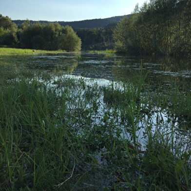 Randonnée - Le tour de l'Oignin