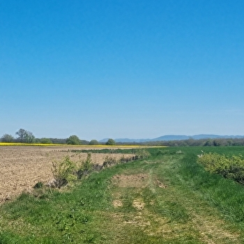 Circuit Gravel n°14 (rouge) - Hauts de la vallée de la Reyssouze - MONTREVEL-EN-BRESSE