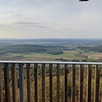 La Tour des Bois - LA TOUR-DE-SCAY