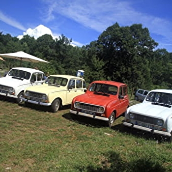 Auto rétro des sapins - COGNA