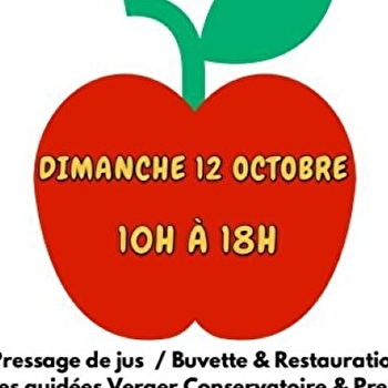 Fête de la Pomme - DRACY