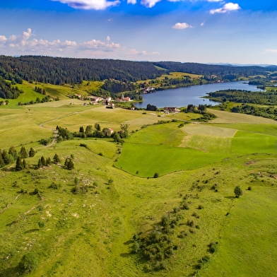 La Combe du Grandvaux - 98B