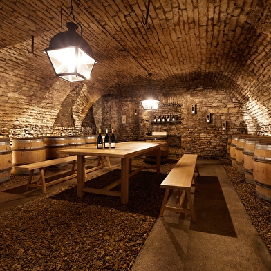 Dégustation Immersion - Manoir des Parcellaires de Saulx