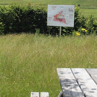 Aire de pique-nique de Serrigny