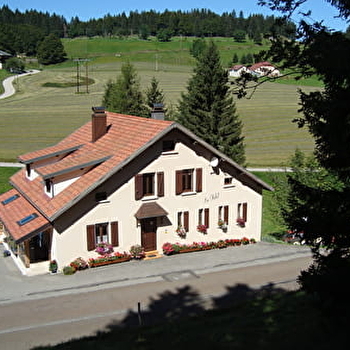 Les Narcisses - LES MOUSSIERES